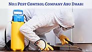 No:1 Pest Control Company Abu Dhabi