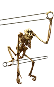 eSkeletons | eSkeletons