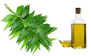 Some plants can be killed by neem oil