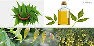 Comprehension why you ought to utilize neem oil for your skin