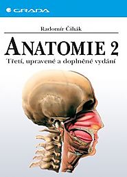 *Čihák, R.: Anatomie 2