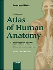 +Köpf-Maier, P. :Wolf-Heideggers Atlas of human anatomy 1