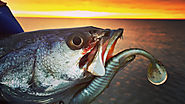 Louisiana Fishing Charters - Impulse Fishing Charters