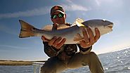 Hilton Head, Savannah, & Beaufort Fishing Charters - Carolina Fishing Adventures