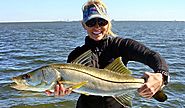Tampa Fishing Charters with Light Tackle Adventures
