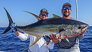 Offshore and Nearshore Charter Fishing