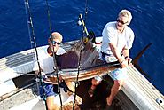 Port Canaveral & Cocoa Beach Fishing Charters - Offshore and Deep Sea Fishing Guide Near Port Canaveral and Cocoa Bea...