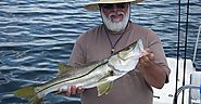 Tampa Bay Fishing Charters in Tampa | With Captain Steve Betz