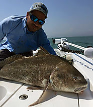 Cocoa Beach, & Port Canaveral Fishing Charters
