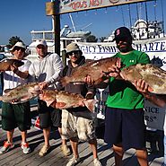 Venice, Sarasota, SIesta Key, SW Florida Offshore Fishing Trips
