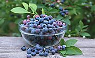 17 Benefits of Blueberries for Health, Skin and Hair