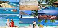 Best Tour & Travel Packages Now Available Online