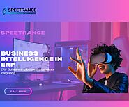 Business Intelligence in ERP: ERP Software and Business Intelligence Integrating 