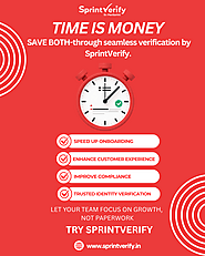 What makes SprintVerify effective for employment history checks?