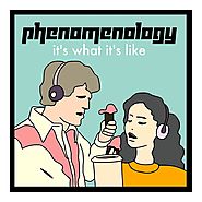 Phenomenology