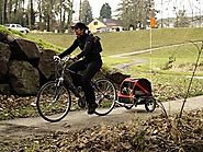 DoggyRide Mini Dog Bike Trailer