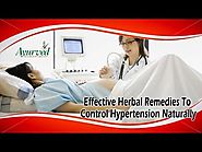 Effective Herbal Remedies To Control Hypertension Naturally