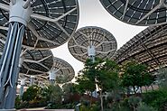 Dubai's Green Revolution: Embracing Sustainable Living in the City of Gold