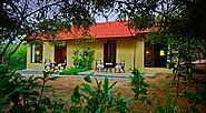 Experience the Uniqueness at JIM CORBETT Cottages