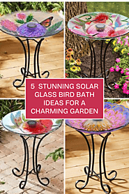 Top 5 Solar Glass Bird Bath With Stand Ideas Under $100