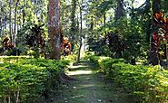 India Orchidarium and Botanical Garden - Tours to India Orchidarium and Botanical Garden in Shillong, Travel to India...