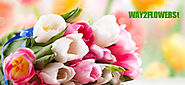 Send flowers to Ludhiana | Flowers to Ludhiana | Way2flowers - Way2flowers Blog