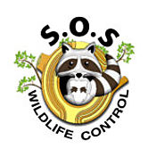 SOS Wildlife Control Inc. Officially Expands to The City of Markham
