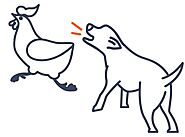 Solve Reactivity & Aggression