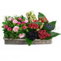 Great Flowers Collection For Online Delivery In Spain