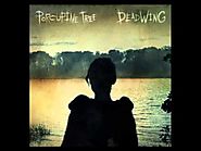 Porcupine Tree - DeadWing