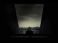 Steven Wilson Insurgentes