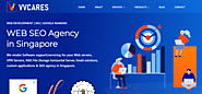 VVCARES Web hosting company singapore