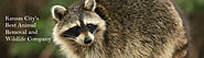 Cridder Ridder - Kansas City Animal Removal, Critter Control and Wildlife Removal Experts