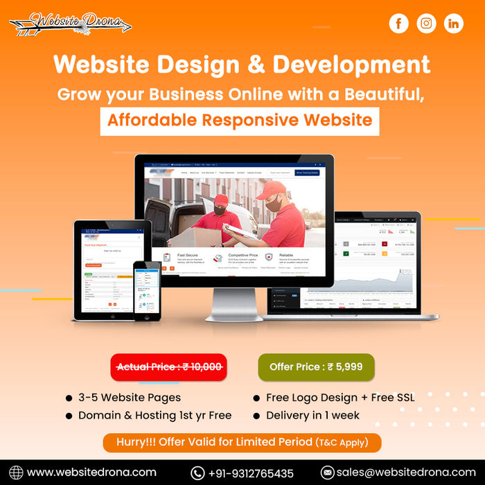 Website Design Company in Delhi – Website Drona