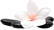 Buy Norco Online Express Delivery Service