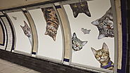 All the Ads in This London Subway Station Have Been Replaced by Pictures of Cats