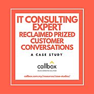 IT Consulting Expert Reclaimed Prized Customer Conversations