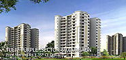 Buy Tulip Purple Gurgaon | Tulip Purple Apartments Gurgaon Sector 69