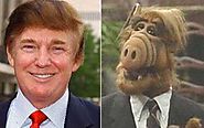 Alf/Trump