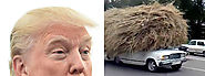 Trump/Car
