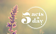 5 Acts a Day