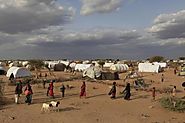 U.N. says 5 million go hungry in Somalia