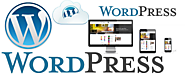 Wordpress Developer Sydney | Wordpress Web Design & Web Development