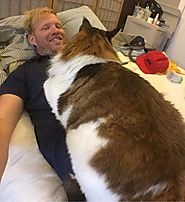 Meet Samson, New York City's largest cat