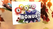 Reasons To Play Bingo Online