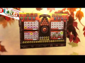 Play Bingo Online For Free And Win Money