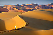 Walk through the Liwa sand dunes