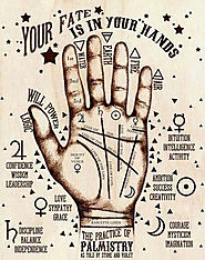 Read your PALM in Detail