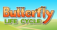 Butterfly Life Cycle