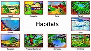 The Magic School Bus ™ Animal Habitats